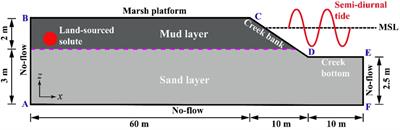 Variable-Density Flow and Solute Transport in Stratified Salt Marshes